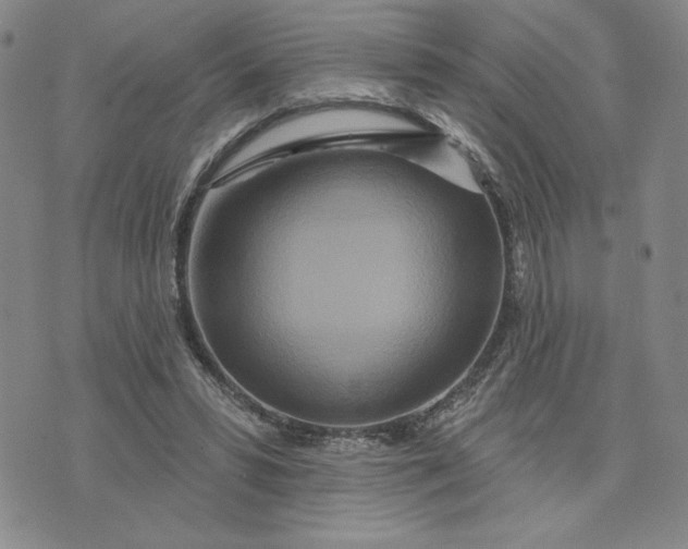 X0000075340399200609251017