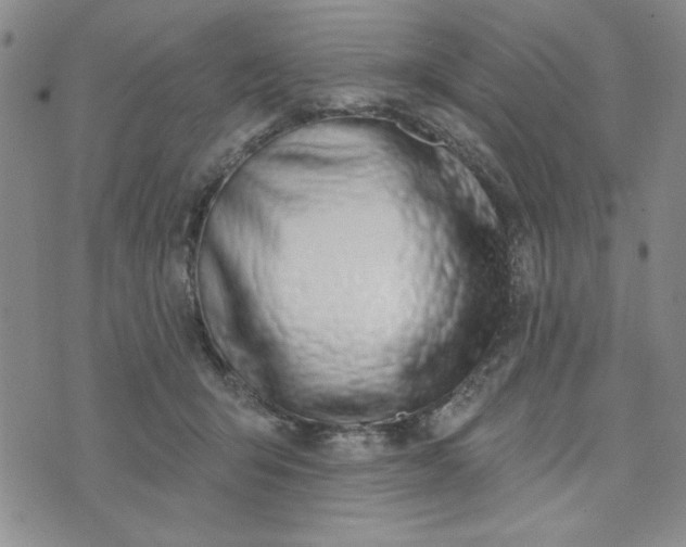 X0000075340415200609251017