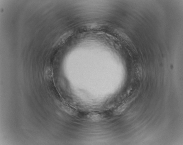 X0000075340419200609251017