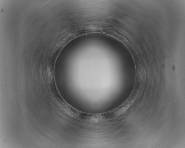 X0000075340420200609251016