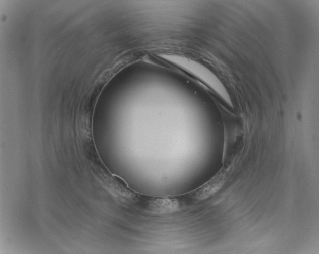 X0000075340421200609251016