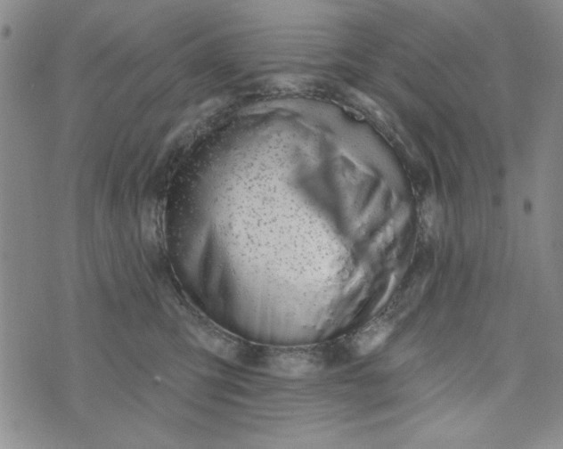 X0000075340423200609251016