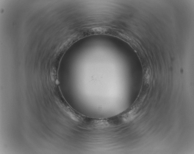 X0000075340424200609251016