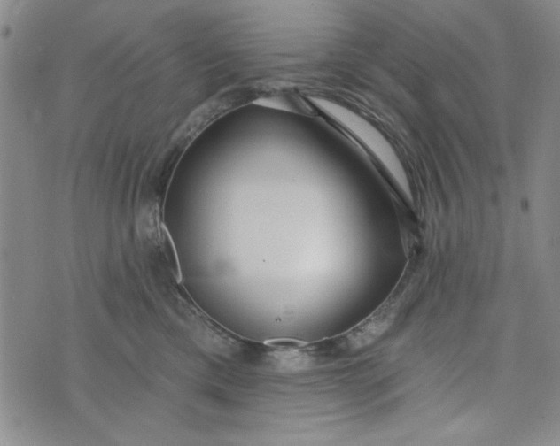 X0000075340425200609251016