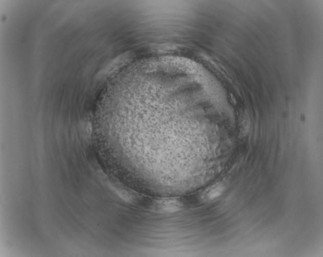 X0000075340427200609251016
