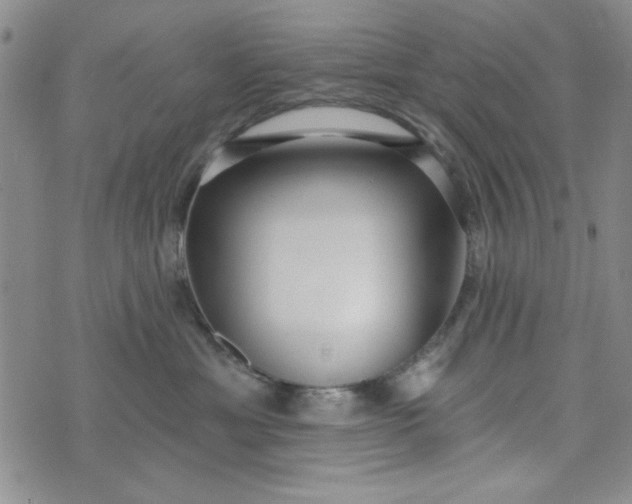 X0000075340429200609251016