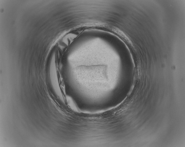 X0000075340436200609251016