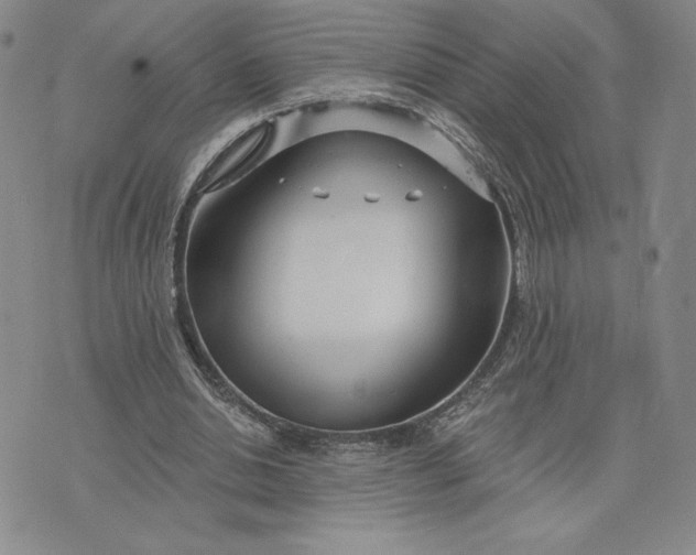 X0000075340438200609251016