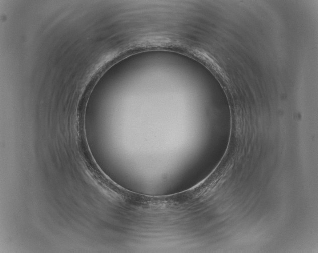 X0000075340439200609251016