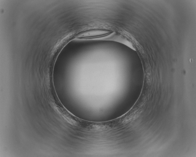 X0000075340442200609251016