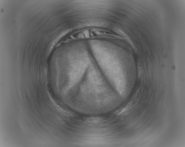 X0000075340444200609251016