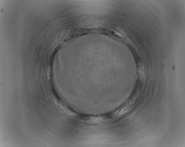 X0000075340458200609251016