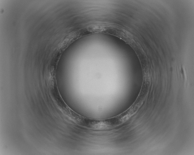 X0000075340460200609251016
