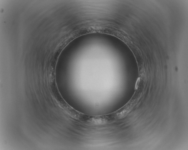 X0000075340464200609251016