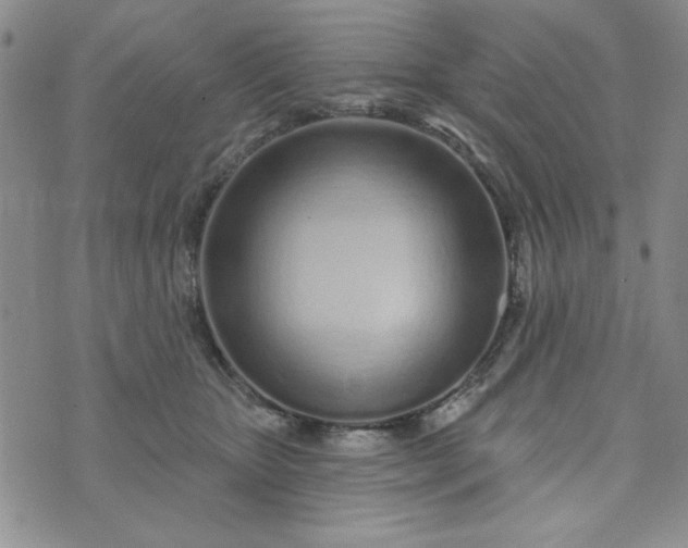 X0000075340467200609251016