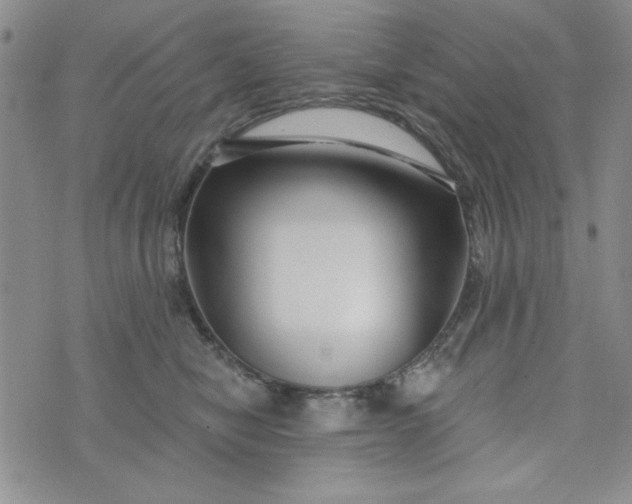 X0000075340470200609251016