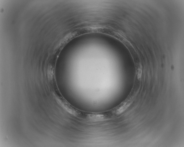 X0000075340476200609251016