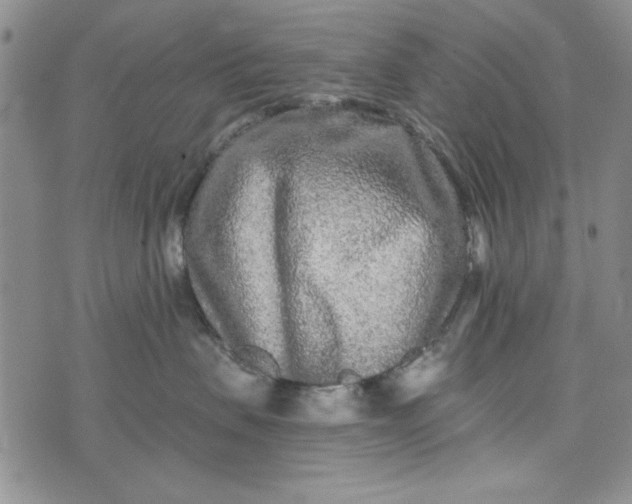 X0000075340479200609251016