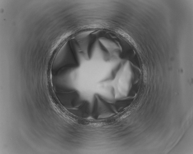 X0000075340482200609251015