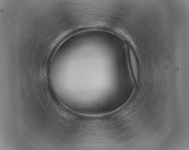 X0000075340483200609251015