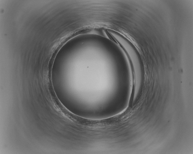 X0000075340485200609251015