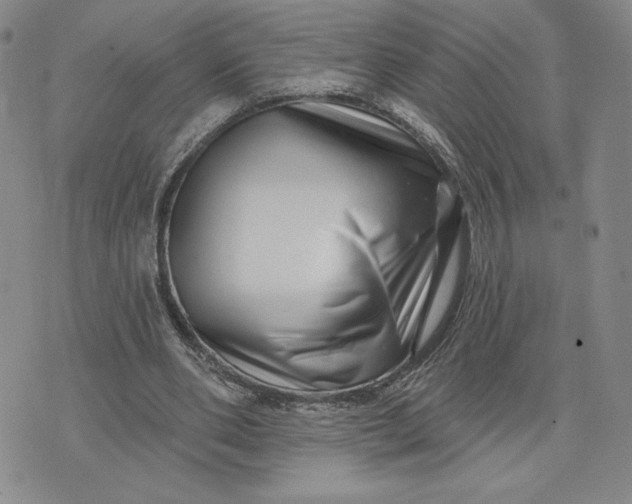 X0000075340486200609251015