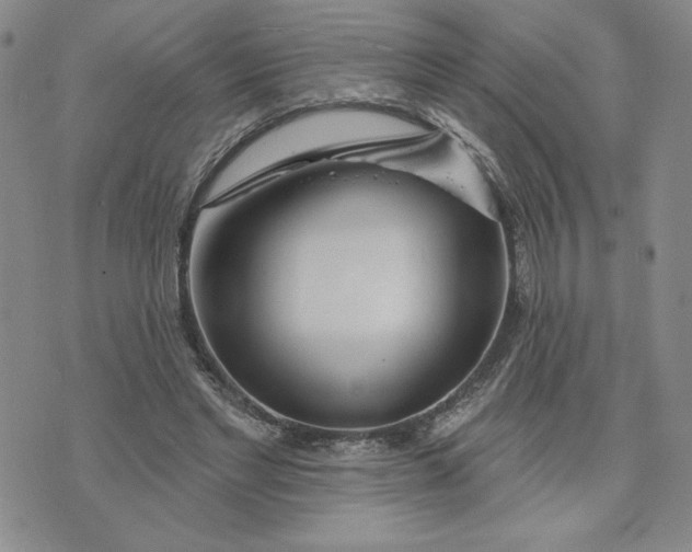X0000075340493200609251015