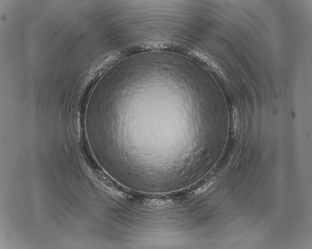 X0000075340494200609251015