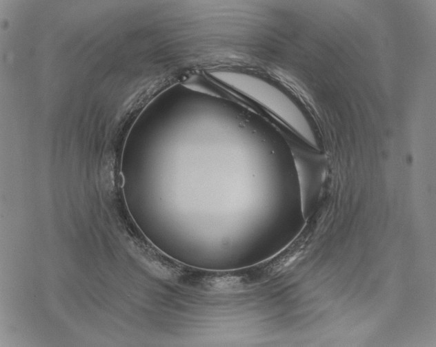 X0000075340501200609251015