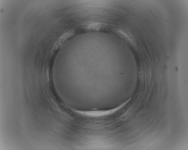 X0000075340504200609251015