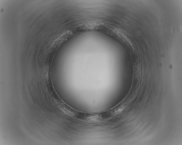 X0000075340505200609251015