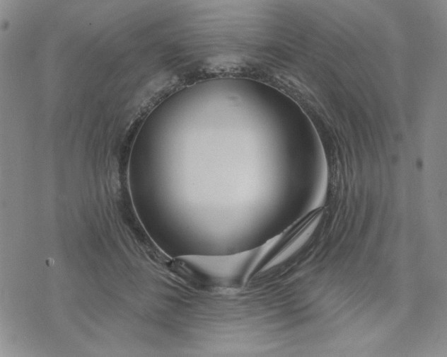 X0000075340508200609251015