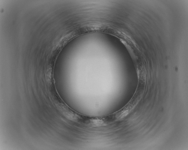 X0000075340509200609251015