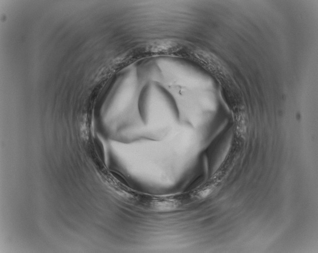 X0000075340510200609251015