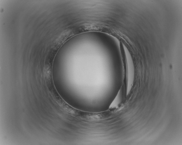 X0000075340513200609251015