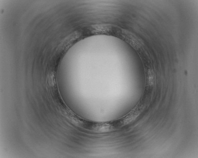 X0000075340514200609251015