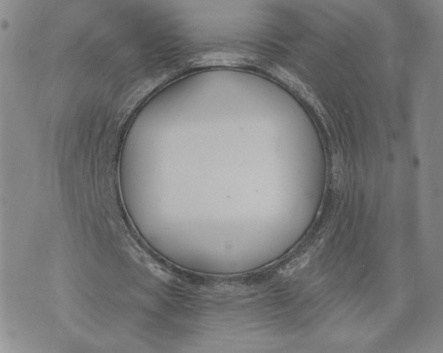 X0000075340529200609251014