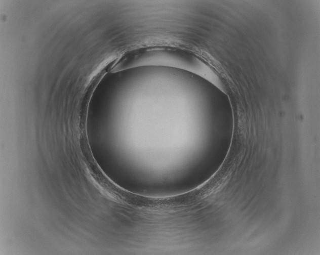 X0000075340530200609251014