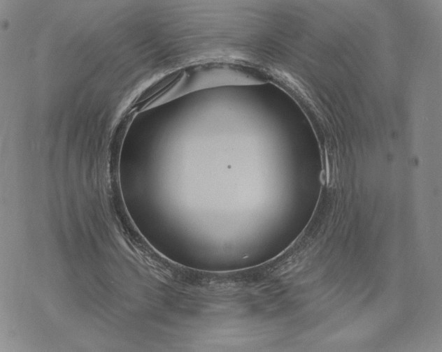 X0000075340531200609251014