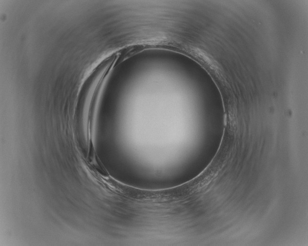 X0000075340532200609251014