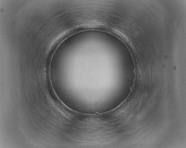 X0000075340535200609251014