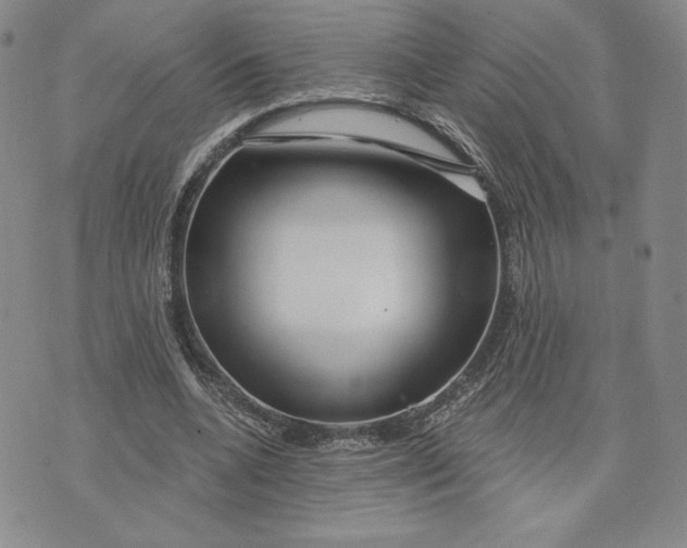 X0000075340536200609251014