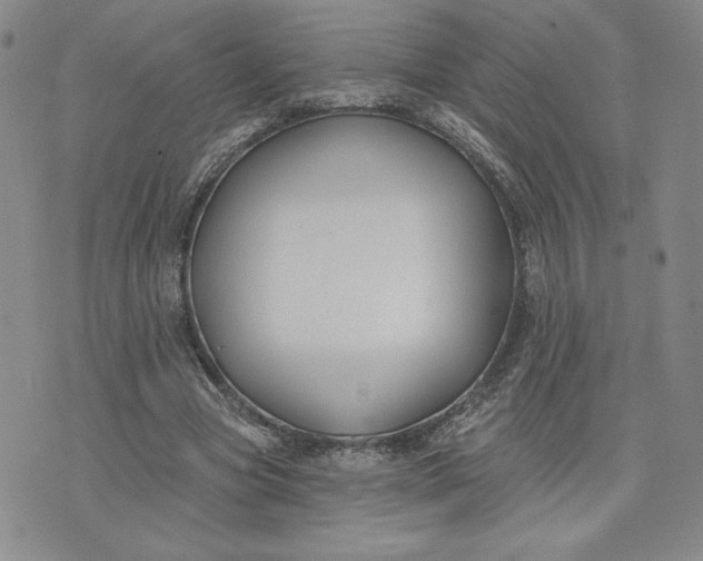 X0000075340537200609251014