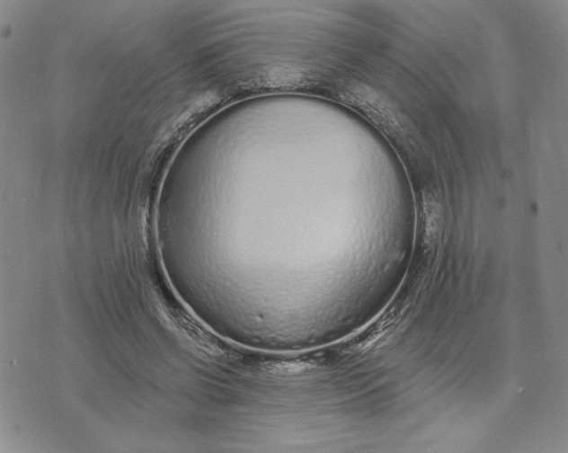 X0000075340542200609251014