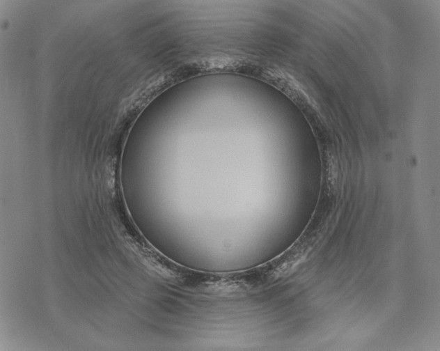 X0000075340545200609251014