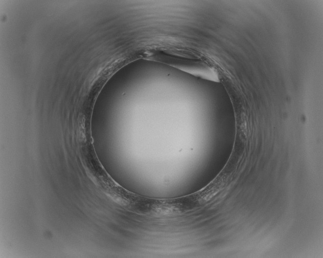 X0000075340547200609251014