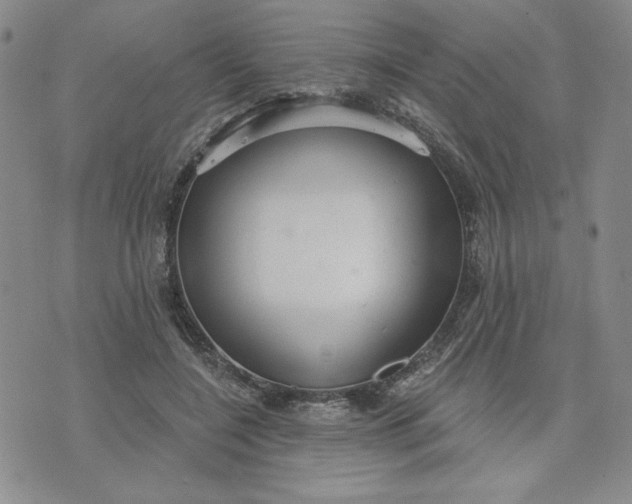 X0000075340548200609251014