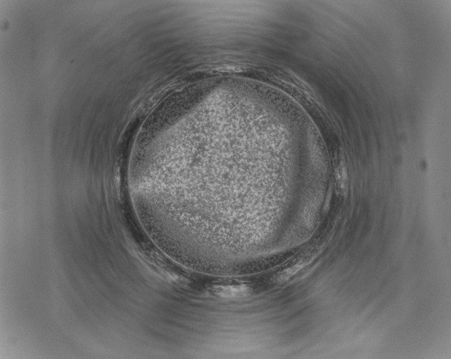 X0000075340552200609251014