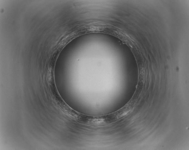 X0000075340554200609251014