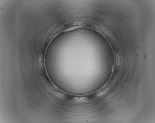X0000075340557200609251014